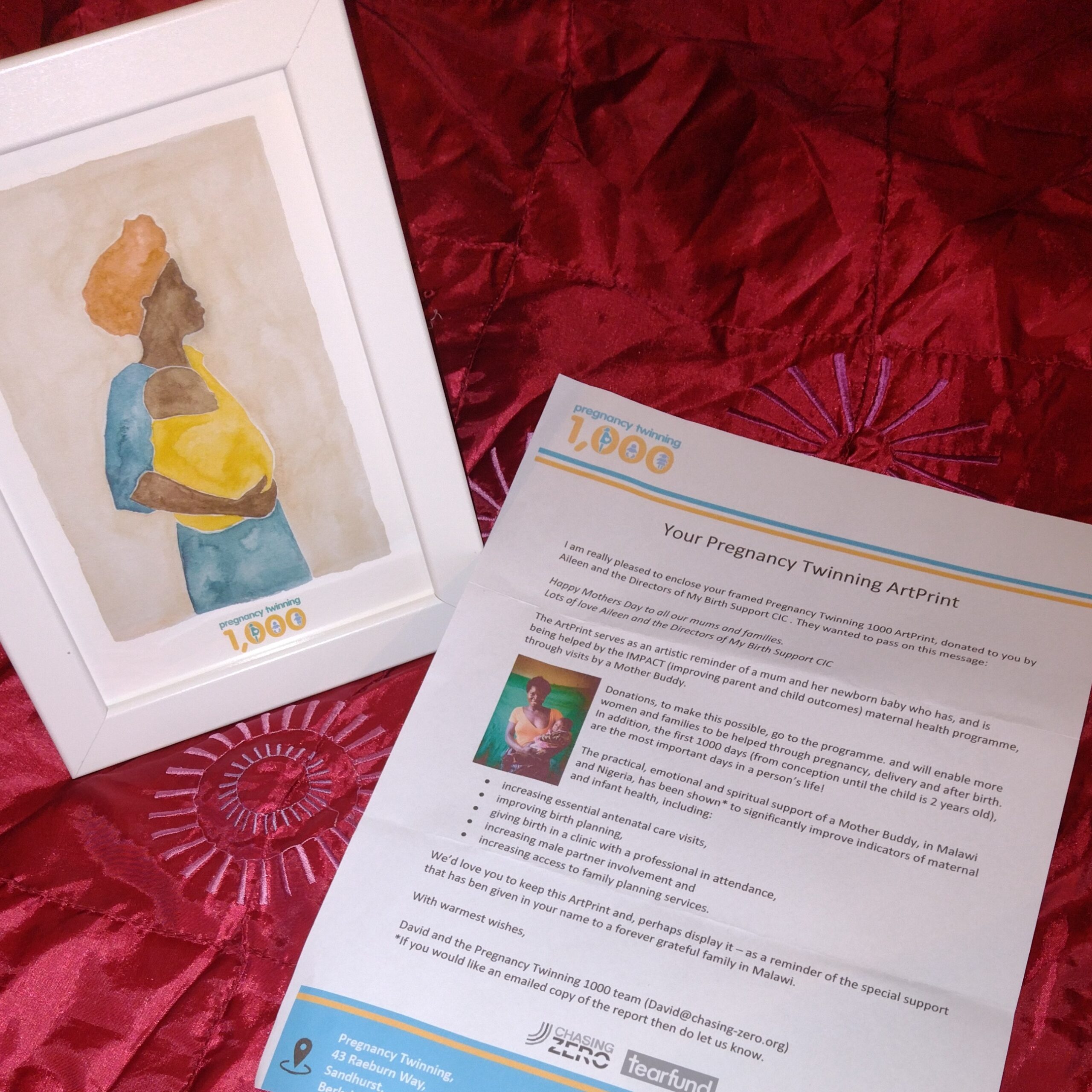 Pregnancy Twinning art in frame and confirmation letter